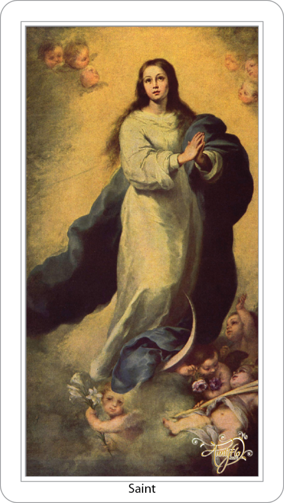 Notre-Dame de l&#39;Immaculée Conception.