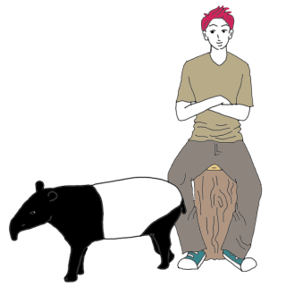 Tapir